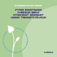 FyrirEinstakarMaedur